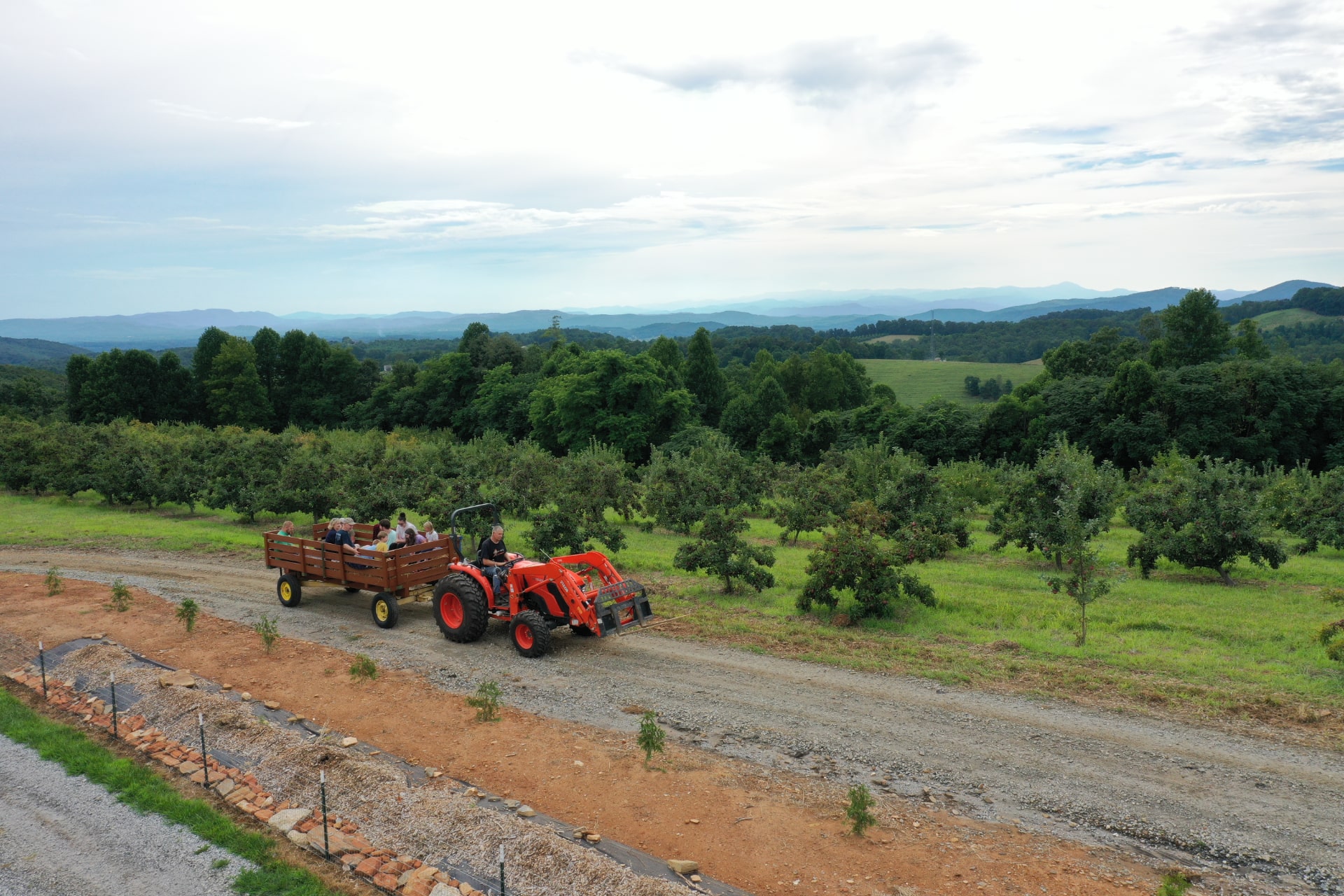 Black Bear Snow Tubing