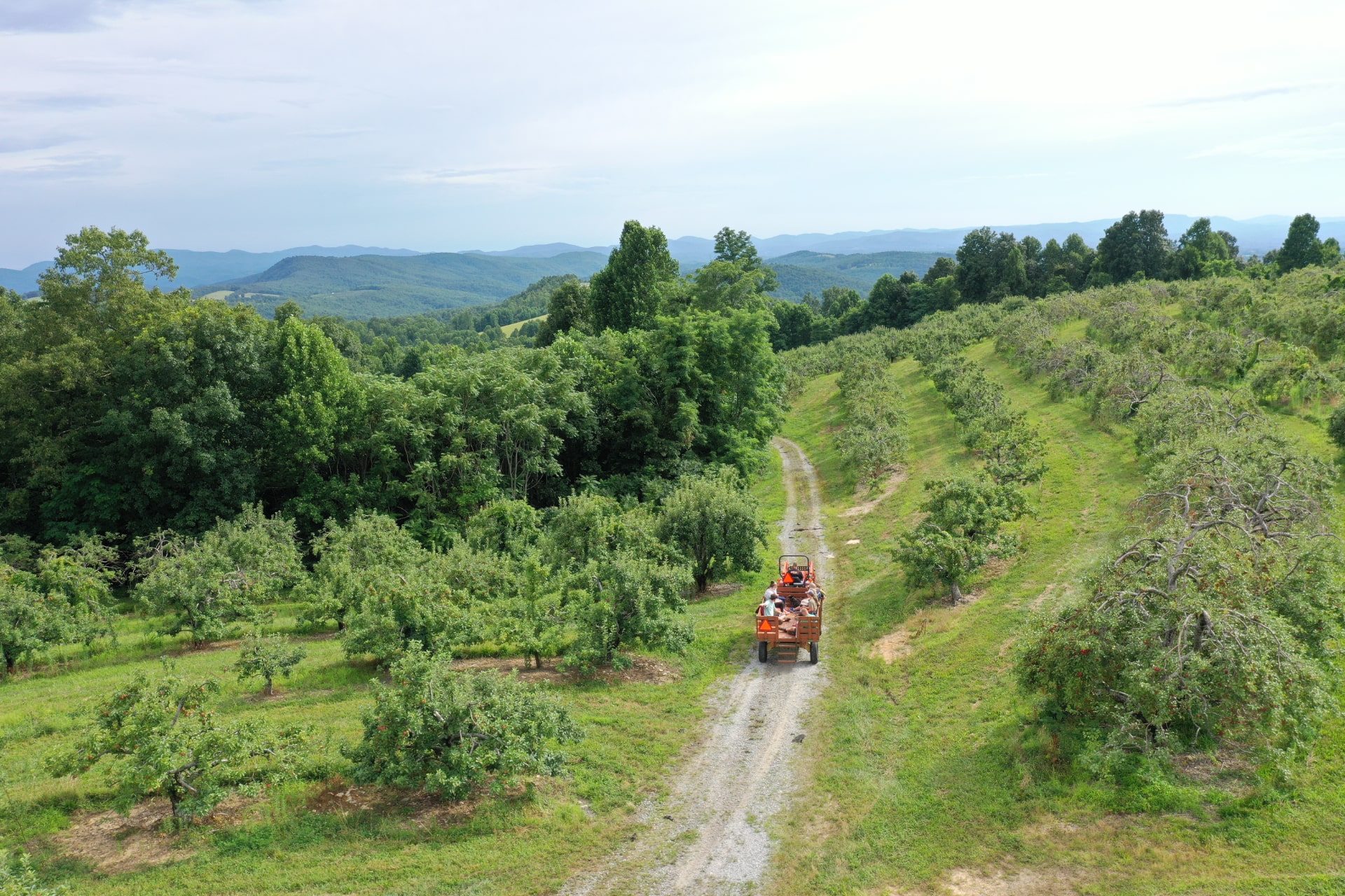 Black Bear Snow Tubing