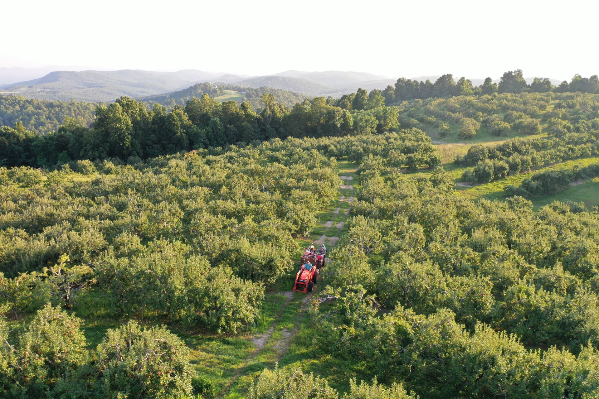 Black Bear Snow Tubing