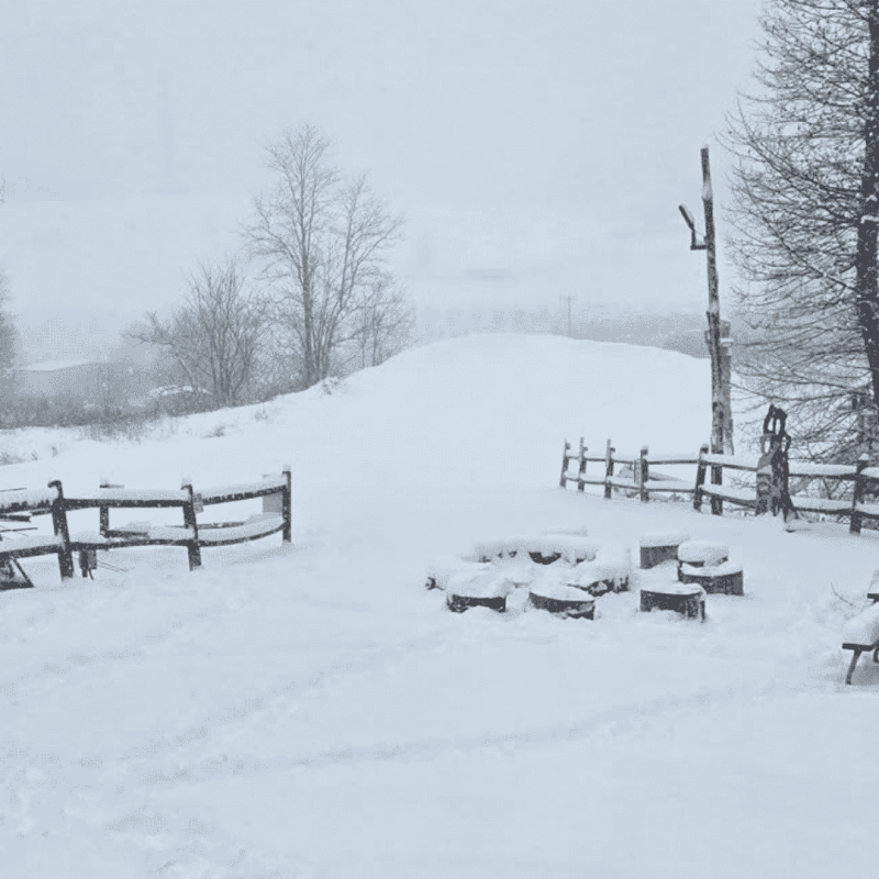 Snow Tubing Near Georgia: A Mountain Guide to Real Snow